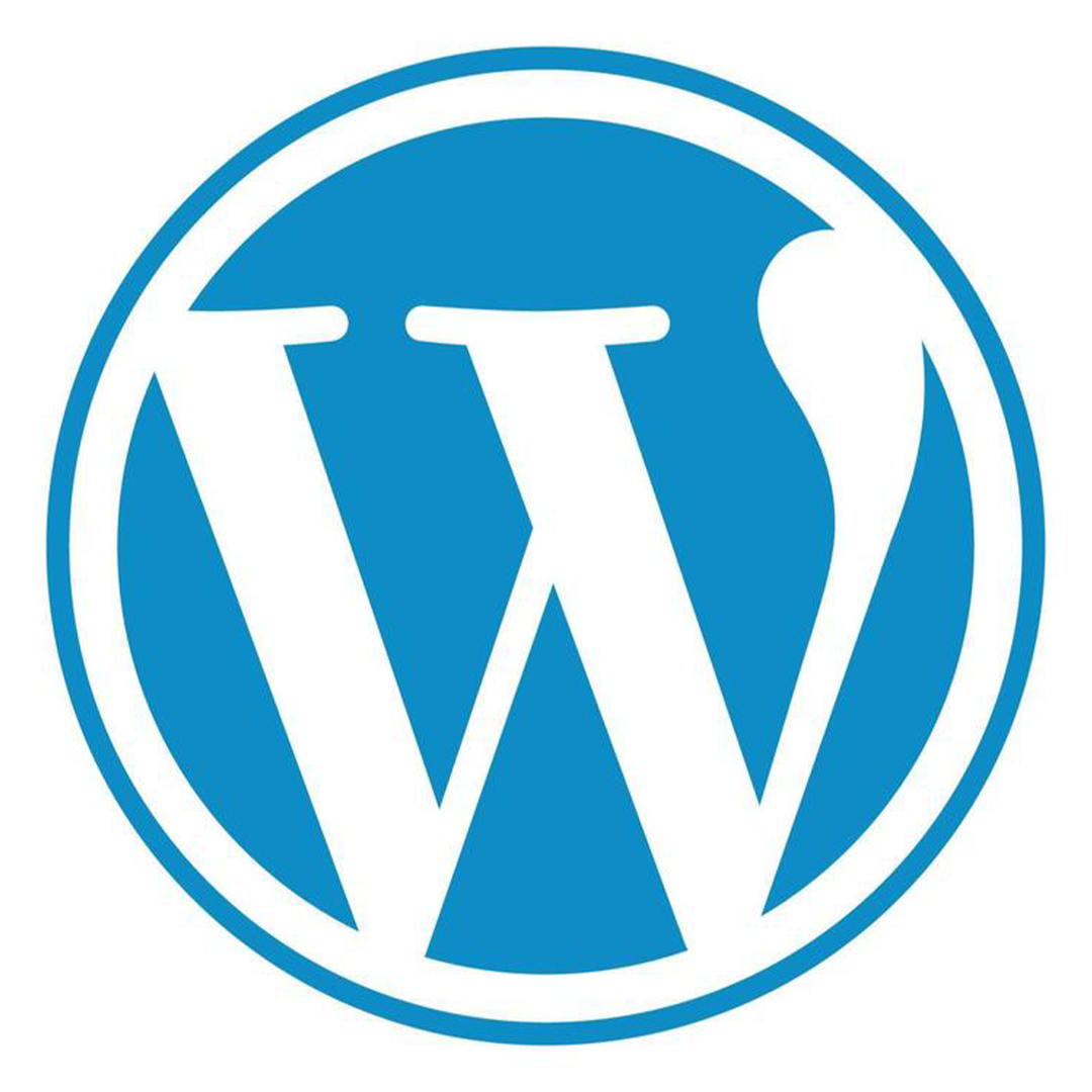Logo WordPress — CMS supportato da Team247